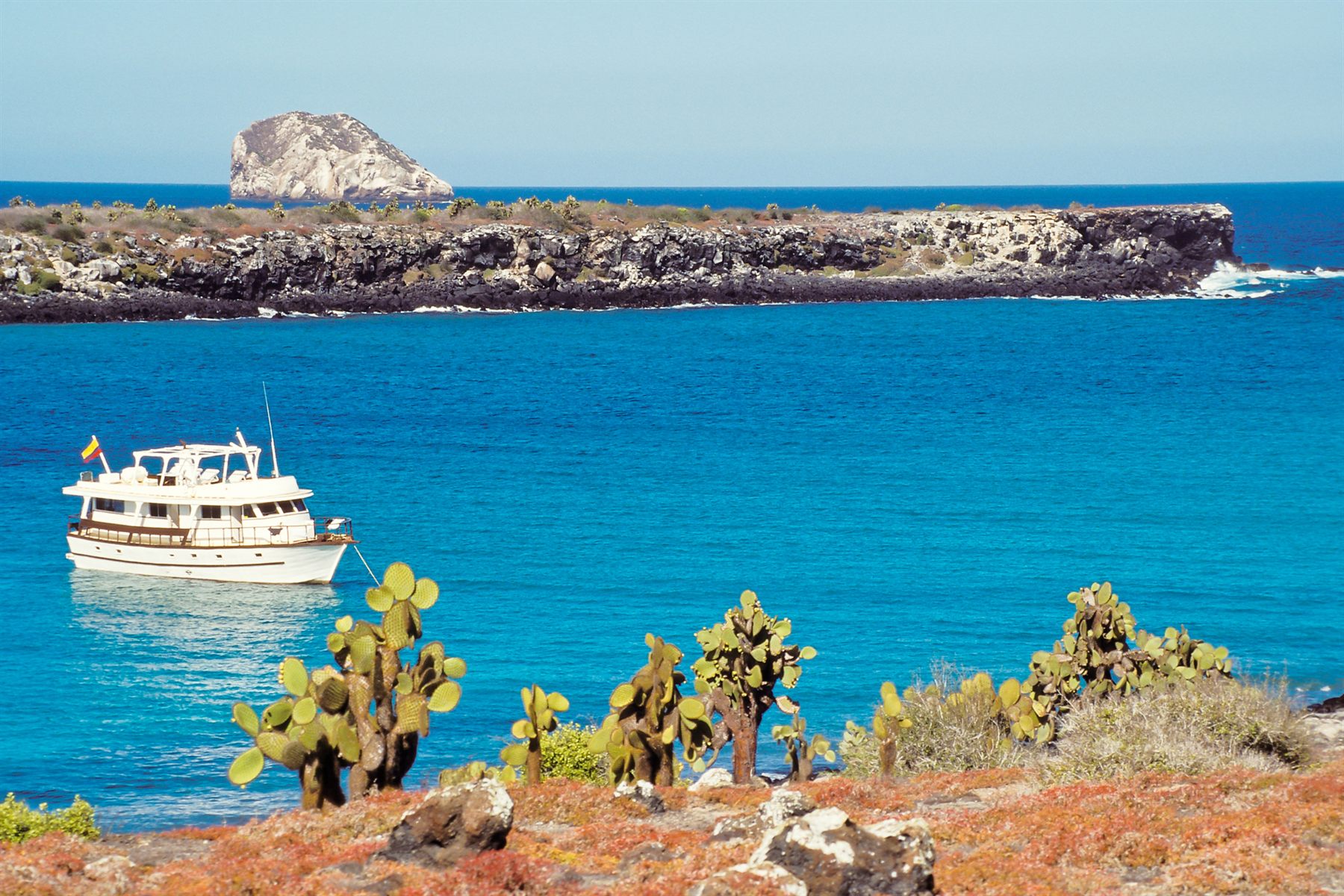 A small expedition yacht anchored off a Galápagos island, with prickly pear cactus in the foreground